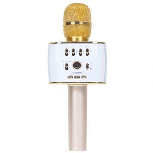 10037834-micro-karaoke-icore-ic-m9-1